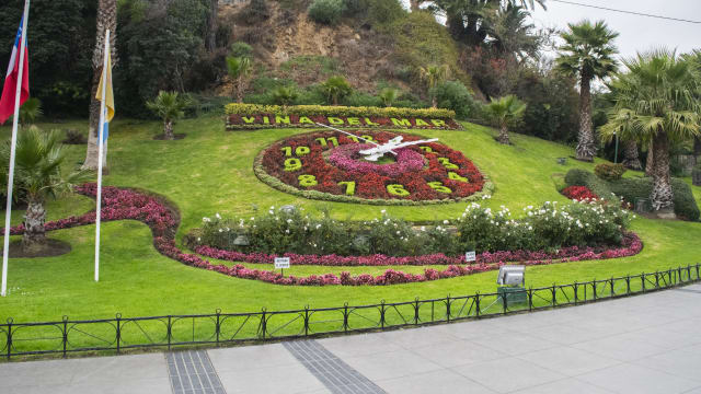 Business and Latin American Studies in Viña del Mar